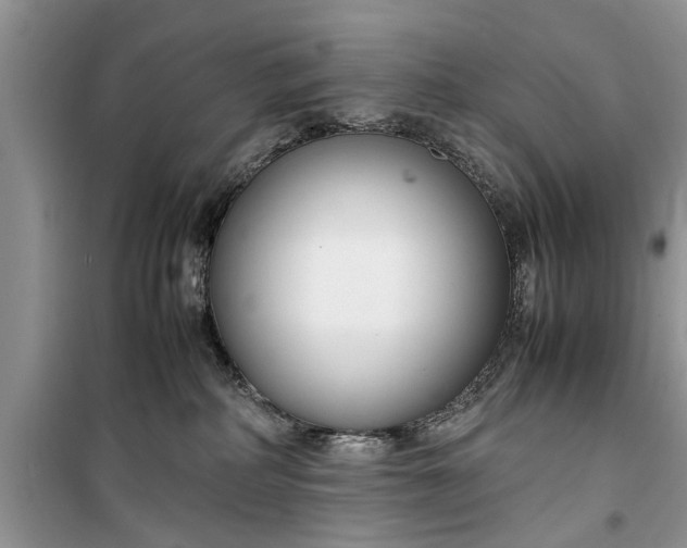 X0000099510234200805291156