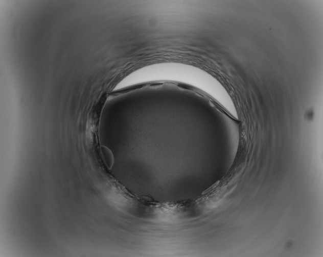 X0000099510235200805291156