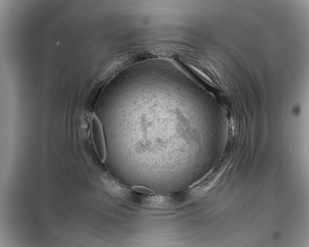 X0000099510237200805291156