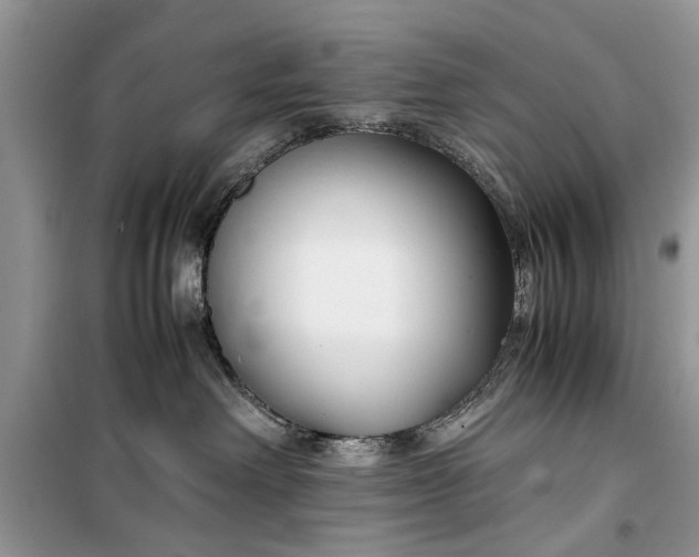 X0000099510238200805291156