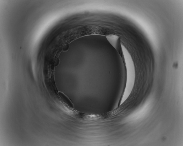 X0000099510239200805291156