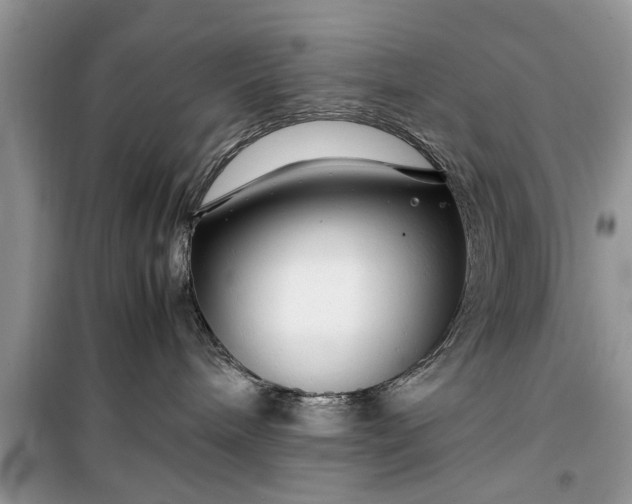 X0000099510240200805291156