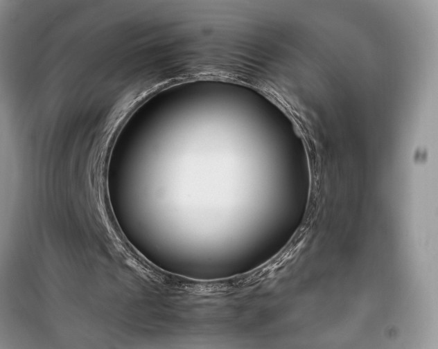 X0000099510241200805291155