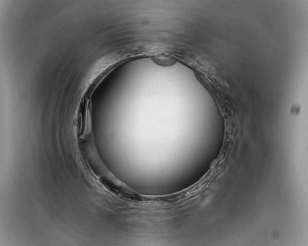 X0000099510242200805291155