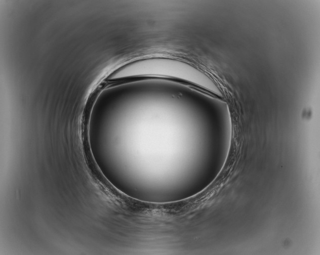 X0000099510244200805291155