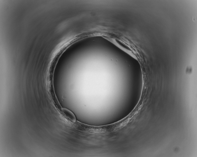 X0000099510245200805291155