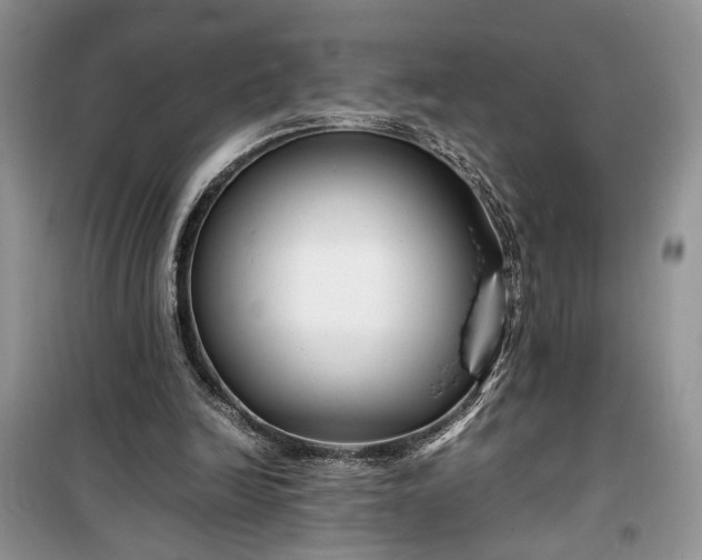 X0000099510246200805291155