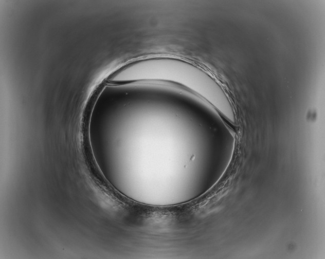 X0000099510248200805291155