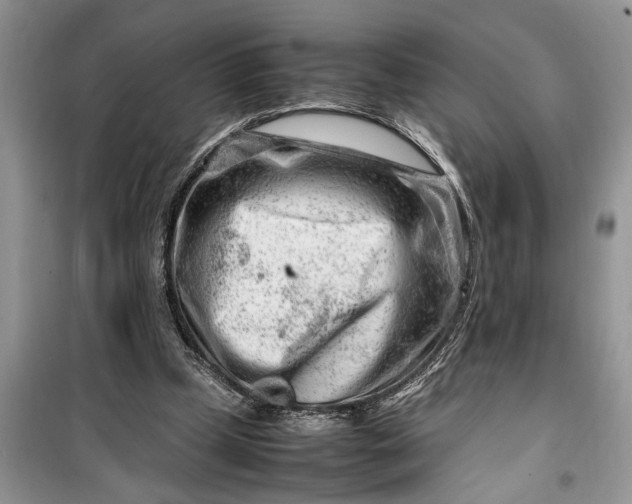 X0000099510249200805291155