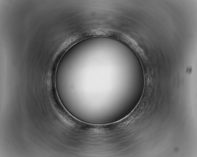 X0000099510250200805291155