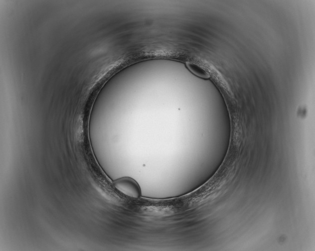 X0000099510251200805291155