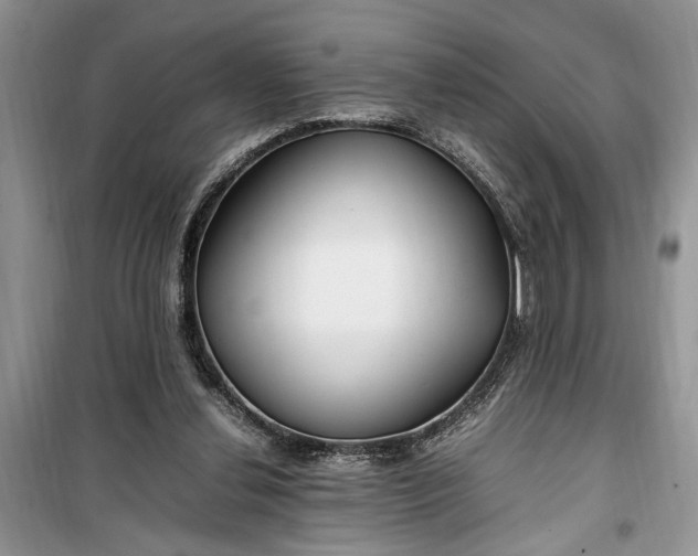 X0000099510252200805291155