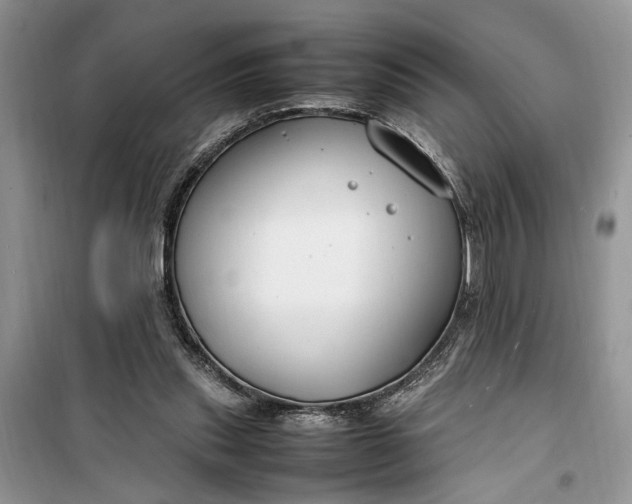 X0000099510253200805291155