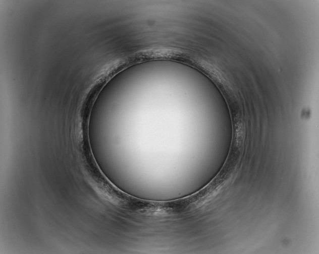 X0000099510254200805291155