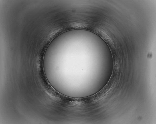 X0000099510255200805291156