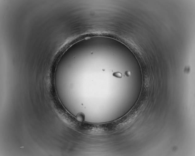 X0000099510256200805291156