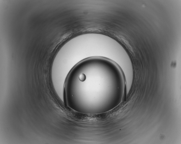 X0000099510260200805291156