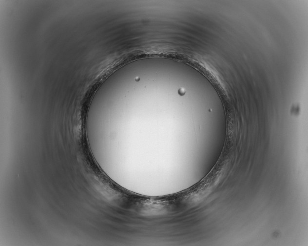 X0000099510261200805291156