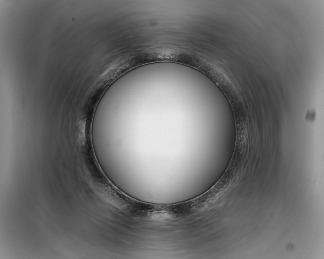 X0000099510262200805291156