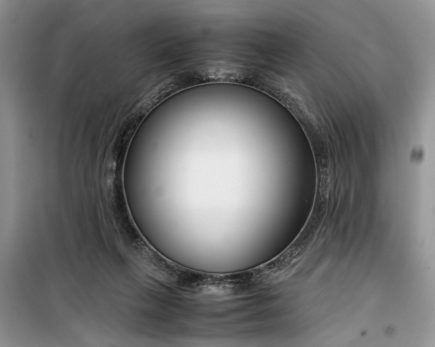 X0000099510263200805291156