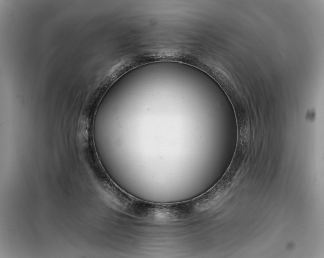 X0000099510264200805291156