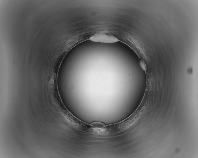 X0000099510265200805291156