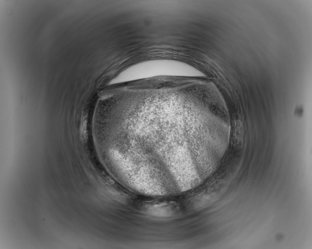 X0000099510267200805291156