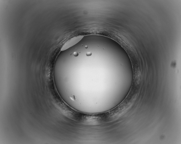 X0000099510268200805291156