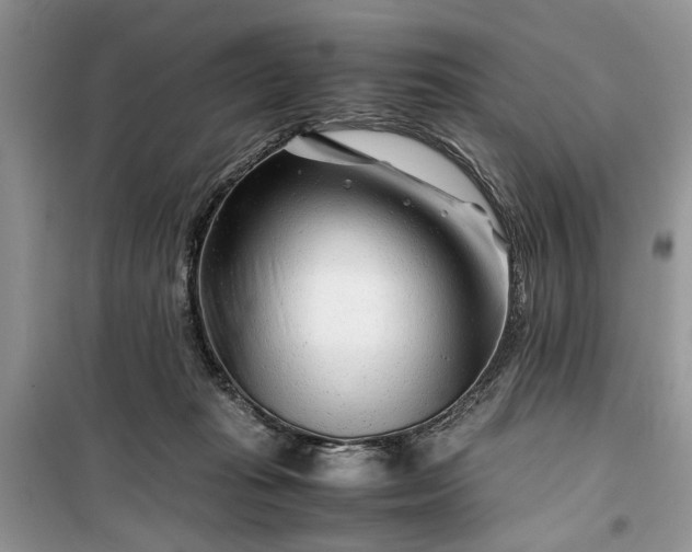 X0000099510269200805291156