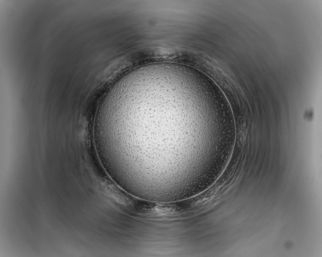 X0000099510270200805291156