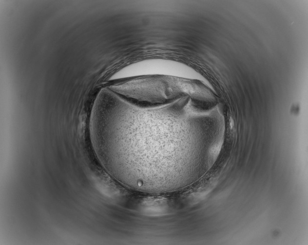 X0000099510271200805291156