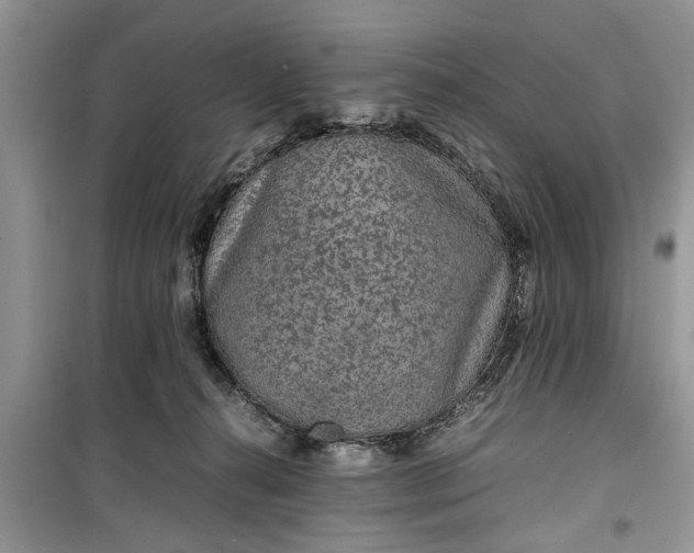 X0000099510272200805291156