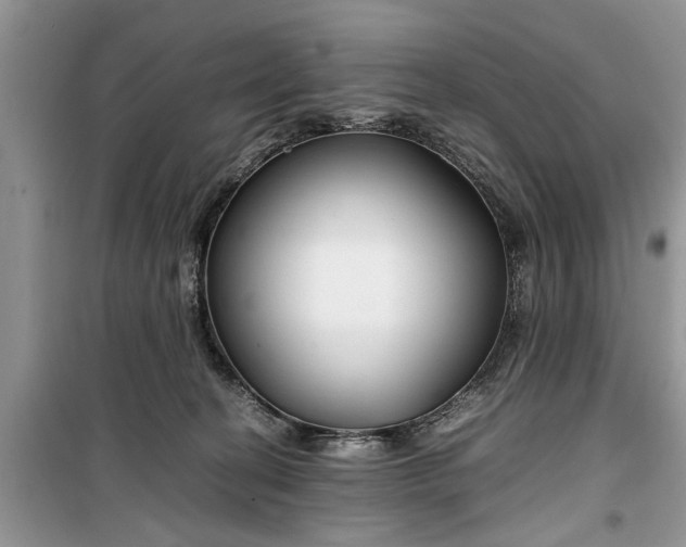 X0000099510274200805291156