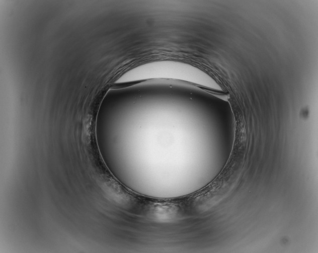 X0000099510275200805291156