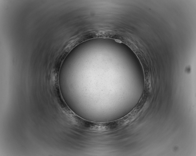 X0000099510276200805291156