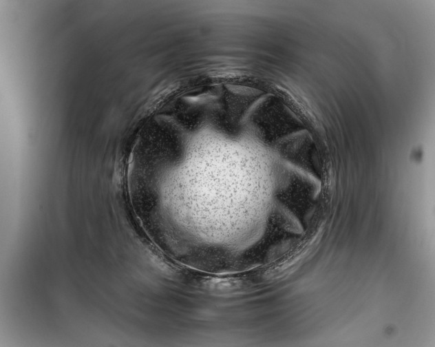 X0000099510277200805291156