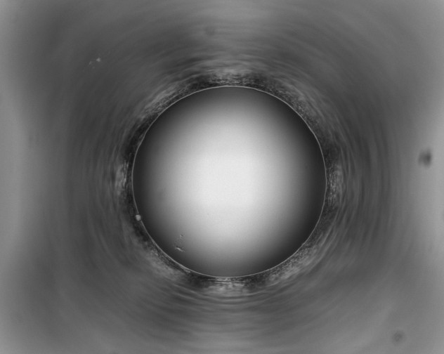 X0000099510278200805291156