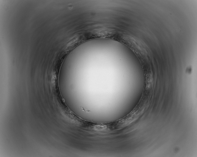 X0000099510279200805291156