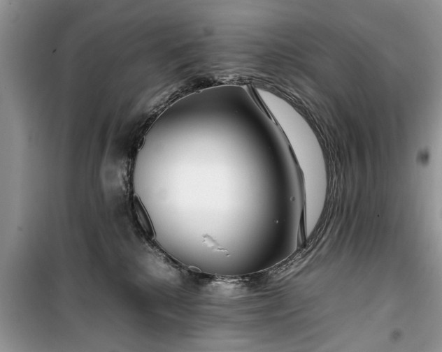 X0000099510280200805291156