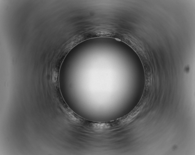 X0000099510281200805291156