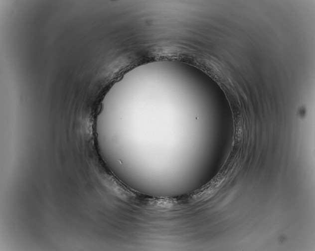 X0000099510282200805291156