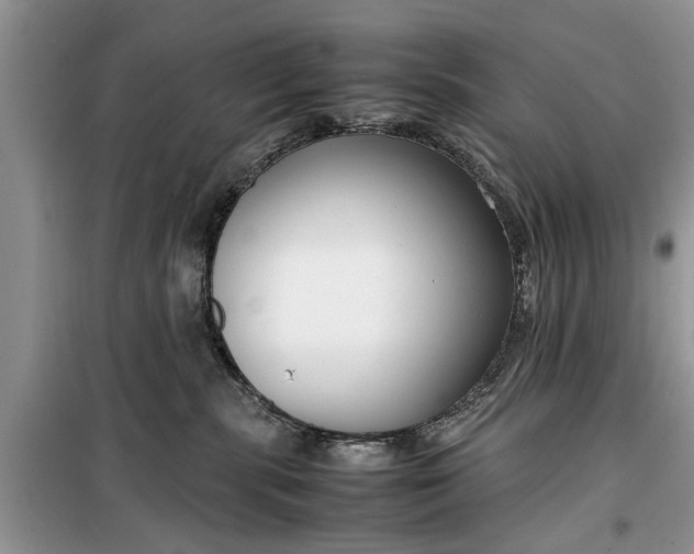 X0000099510283200805291156