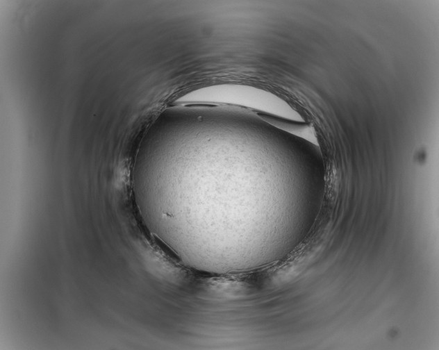 X0000099510284200805291156