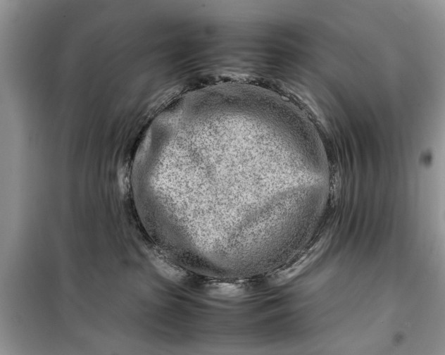 X0000099510285200805291156