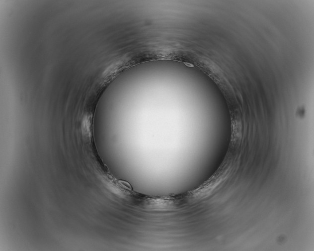 X0000099510286200805291156