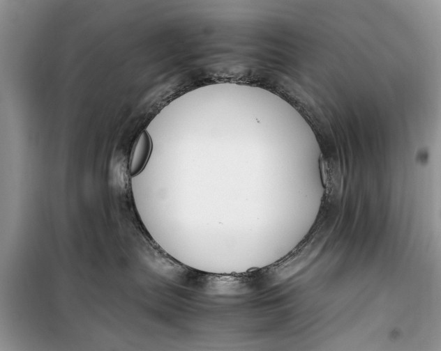 X0000099510287200805291156