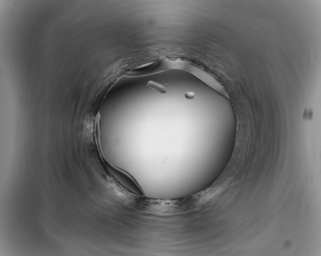 X0000099510288200805291156