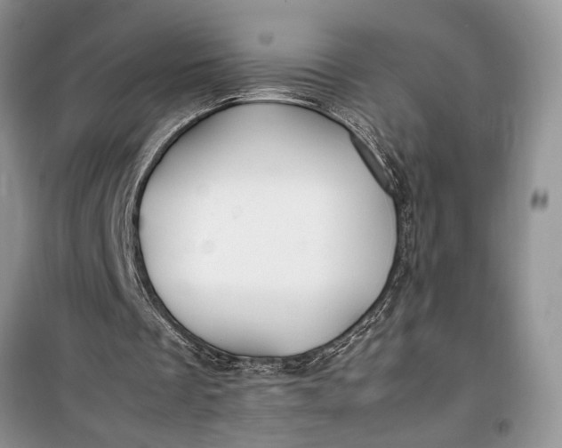 X0000099510289200805291155