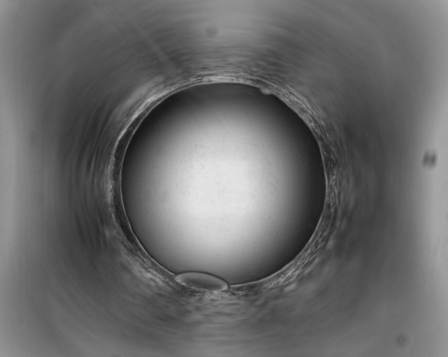 X0000099510290200805291155