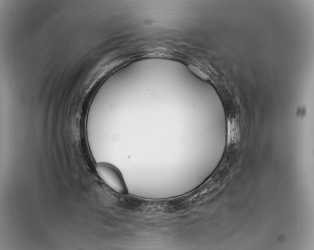 X0000099510291200805291155